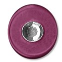buttonpurple