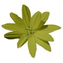 flowergreen