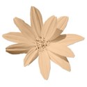 flowertan