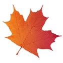 leaf2