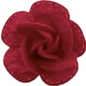 dark pink rose