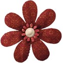 indian summer red flower