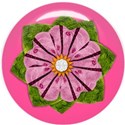 pink button with flower