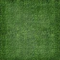 PP15-SOCCER_mikki