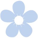 Dasiy 8