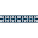 blue checkers banner