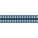 blue checkers banner