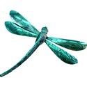 OneofaKindDS_Darryls-Dragonflies-Kit_Dragonfly 02