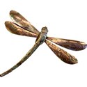 OneofaKindDS_Darryls-Dragonflies-Kit_Dragonfly 03