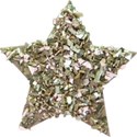 OneofaKindDS_Darryls-Dragonflies-Kit_Star