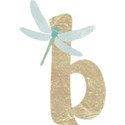 OneofaKindDS_Darryls-Dragonflies_B