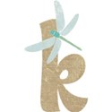 OneofaKindDS_Darryls-Dragonflies_K