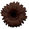 flowerbrown