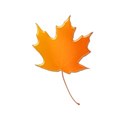 leaf6