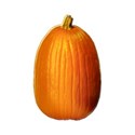 pumpkin1