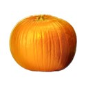 pumpkin2