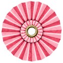 pink fan flower