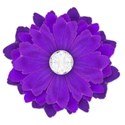 purple flower