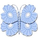 light blue butterfly