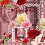 Shades of Red