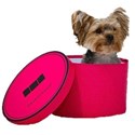 yorkie puppy in hat box