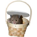 hamster in a basket