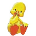 baby duckling cartoon