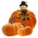 BD_Pumpkins_02