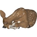 sleepy fawn