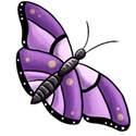 purple butterfly