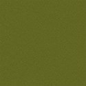 bg16