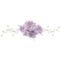 BD_Purple_07