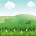 grassy land scape