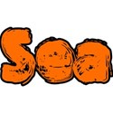 5 (19)