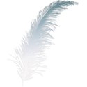 Feather 2