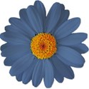 Flower Blue