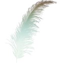 Feather 3