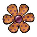 flower19