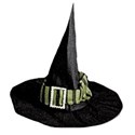 witchhatgreen