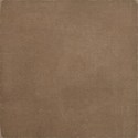 DZ_Abundance_p8