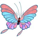 butterfly