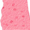 torn paper