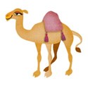 camel 3