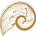 swirl 5