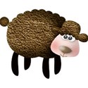 black sheep
