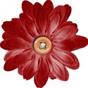 FLOWER1
