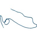 STRING2