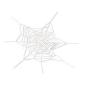 spiderweb