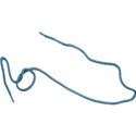 STRING2DS
