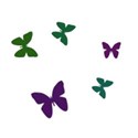 butterflies